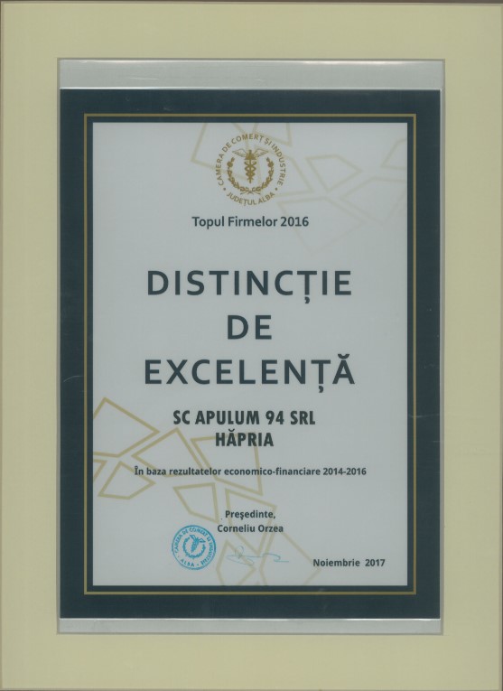 Distinctie de excelenta - Topul Firmelor - 2016