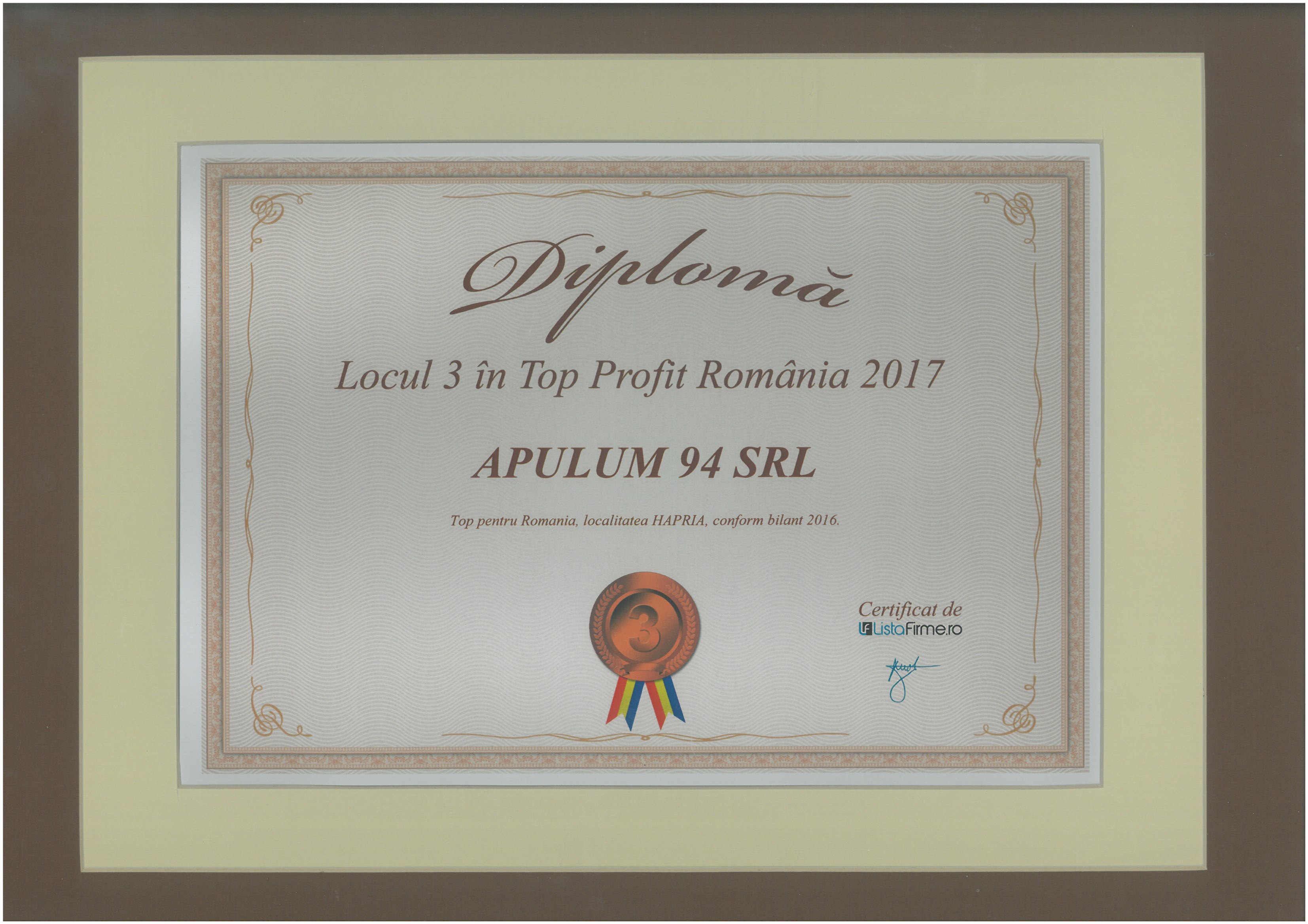 Top Profit Romania – 2017 - Locul 3